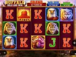 Buffalo Hold and Win